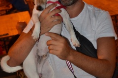 Sagra-della-Braciola-2023-26-sabato-661