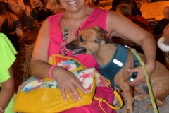 Sagra-della-Braciola-2023-26-sabato-663