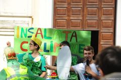 Festa-dei-Giovani-2024-1-set-TOTEM-_0123