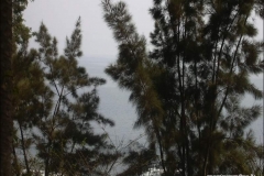 DSCN0136