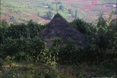 DSCN0182