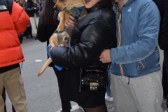 Carnevale_2023_-MAr_21-2-2023-254